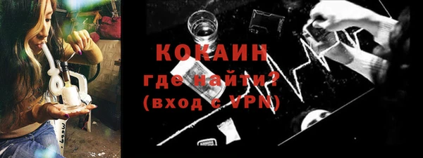 гидра Тайга