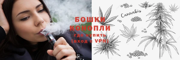 гидра Тайга