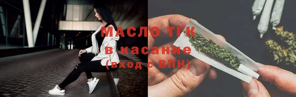 гидра Тайга