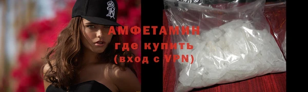гидра Тайга