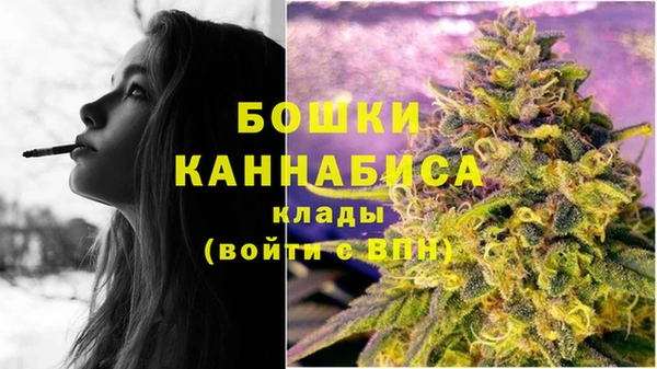 гидра Тайга
