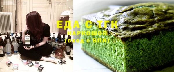 гидра Тайга