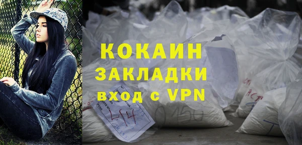 гидра Тайга
