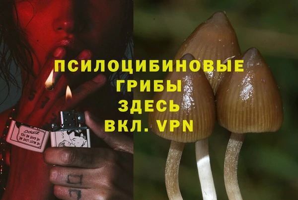 мяу мяу кристалл Сясьстрой