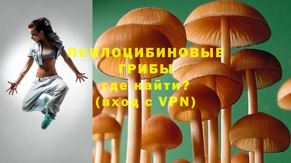 метадон Тавда