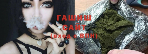 гидра Тайга
